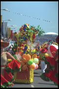 286018 Jersey Battle Of The Flowers A4 Photo Print