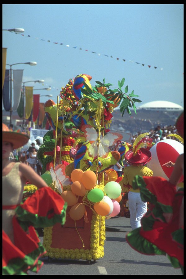 286018 Jersey Battle Of The Flowers A4 Photo Print