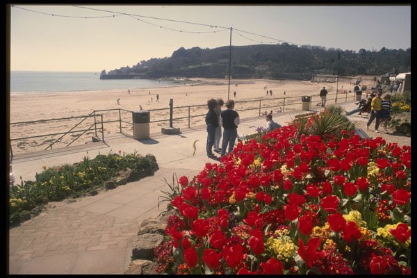 286028 Flower Beds At St. Brelade A4 Photo Print