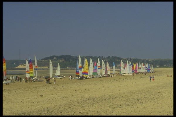 286037 Gorey Beach, Hoby Cat Race A4 Photo Print