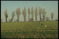 286044 Farming A4 Photo Print