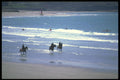 286081 Beach, Horse Riding A4 Photo Print