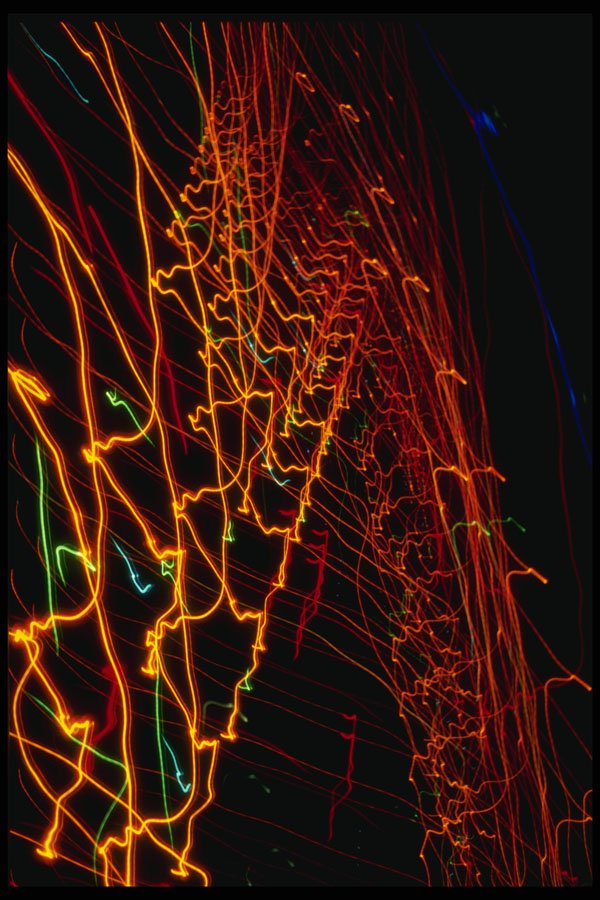 287040 Time Exposure On Roller Skating Rink A4 Photo Print