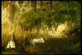287070 Carlsbad Caverns, Papoose Chamber, New Mexico A4 Photo Print