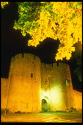 287096 Medieval Walled Town, Aigues Mort, France A4 Photo Print