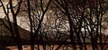 28februa Art A4 Photo Print UK
