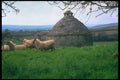 291001 The Dovecote, Pridhamsleigh A4 Photo Print