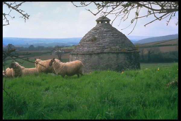 291001 The Dovecote, Pridhamsleigh A4 Photo Print