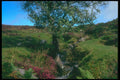 291002 Stream Near Grimspound A4 Photo Print