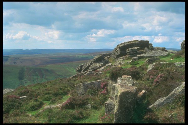 291005 Hambledown Tor A4 Photo Print