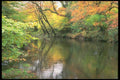 291006 The Dart At Holne Bridge, Autumn A4 Photo Print