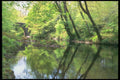 291007 The Dart At Holne Bridge, Spring A4 Photo Print