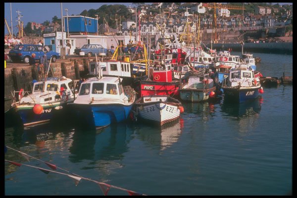 291011 Brixham Harbor A4 Photo Print