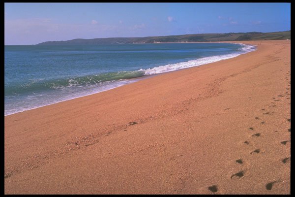 291031 Slapton Sands, With Footprints A4 Photo Print