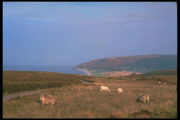 291042 Porlock From Exmoor A4 Photo Print