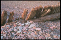 291044 Porlock Weir A4 Photo Print