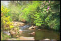 291045 Avon At Shipley Bridge, Dartmoor A4 Photo Print