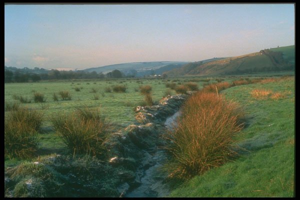 291048 Avon Marshes A4 Photo Print