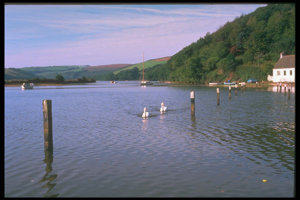 291049 Tidal Road At Aveton Gifford A4 Photo Print