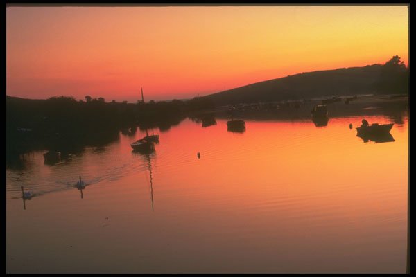 291057 Frogmore A4 Photo Print