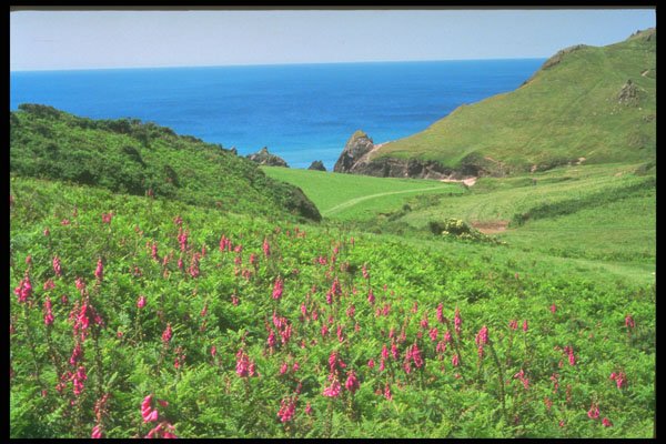 291058 Soar Mill Cove A4 Photo Print
