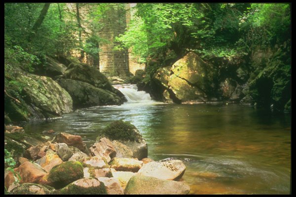 291063 River Erme At Ivybridge A4 Photo Print
