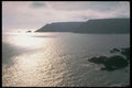 291075 Bold Head A4 Photo Print