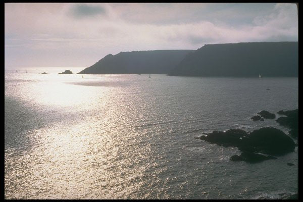 291075 Bold Head A4 Photo Print