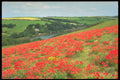 291085 Poppies Above, Bowcombe A4 Photo Print