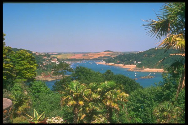 291092 Estuary From Sharp Tor Gardens A4 Photo Print