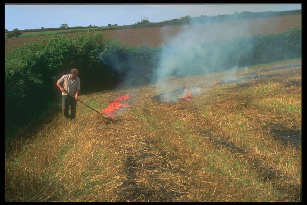 291098 Stubble Burning A4 Photo Print