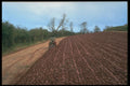 291099 Ploughing A4 Photo Print