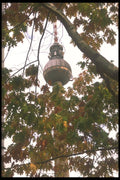 292022 Communication Tower A4 Photo Print