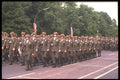 292057 Last Allied Parade A4 Photo Print