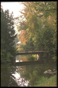 292075 The Garden In Sans Soucci A4 Photo Print