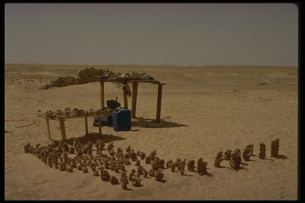 293016 Algeria, Selling Desert Roses A4 Photo Print