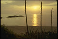 293017 Algeria, Beach A4 Photo Print