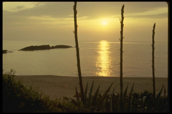 293017 Algeria, Beach A4 Photo Print