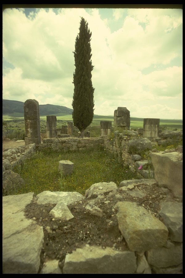 293022 Morocco, Roman Ruin A4 Photo Print