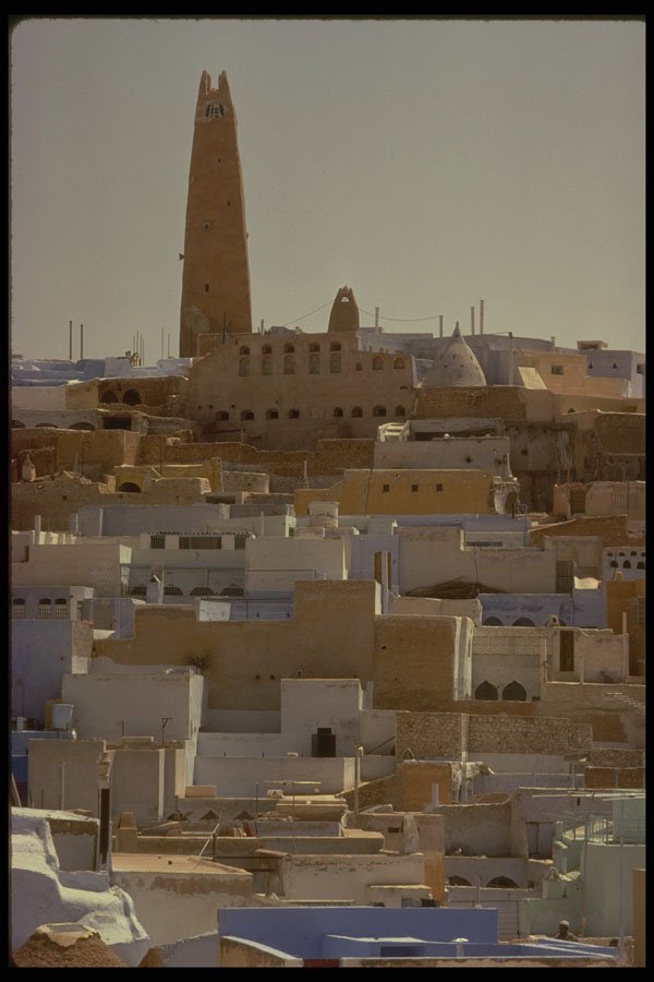 293038 Algeria, Teleview Of Main Mosque A4 Photo Print