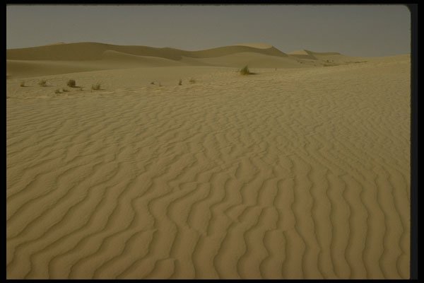 293040 Algeria, The Sahara A4 Photo Print