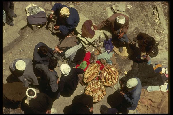 293061 Algeria, Looking Down A4 Photo Print