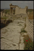 293077 Tunisia, Leading To Temple A4 Photo Print