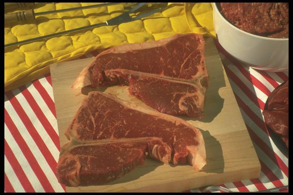 294002 T Bones A4 Photo Print