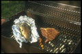 294007 T Bone And Trout A4 Photo Print