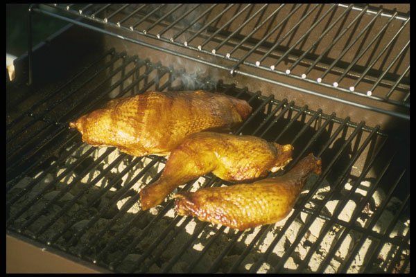 294017 Golden Chicken A4 Photo Print