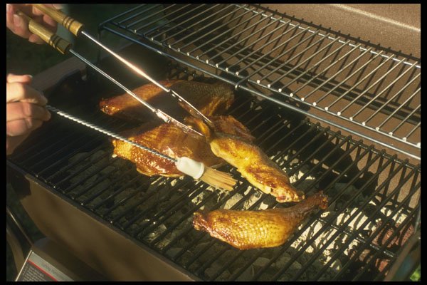 294018 Chicken Legs A4 Photo Print