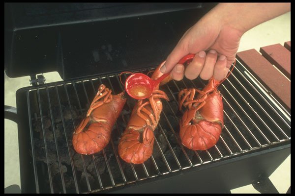 294027 Barbecued Lobster A4 Photo Print
