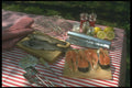 294032 Trout And Salmon A4 Photo Print