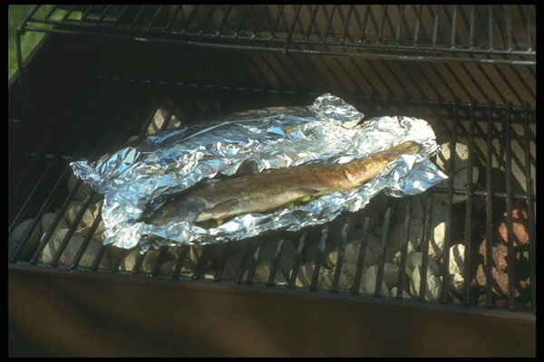 294035 Trout Over Coals A4 Photo Print